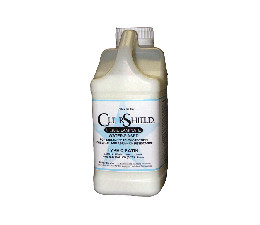 VERNIS DE PROTECTION TYPE C SATIN (5 litres)